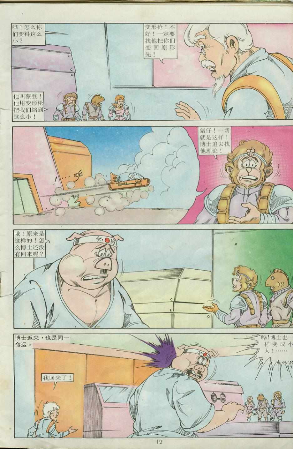 第19页
