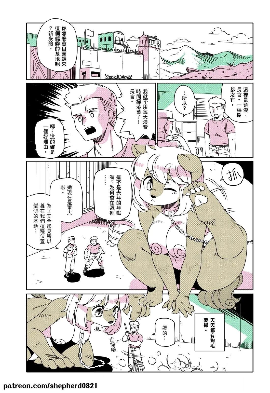 第6页