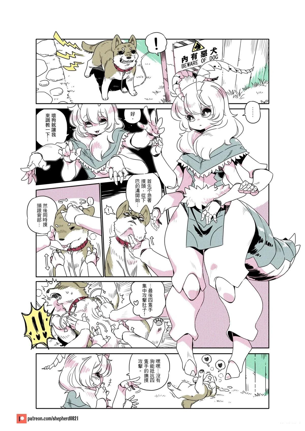 第3页