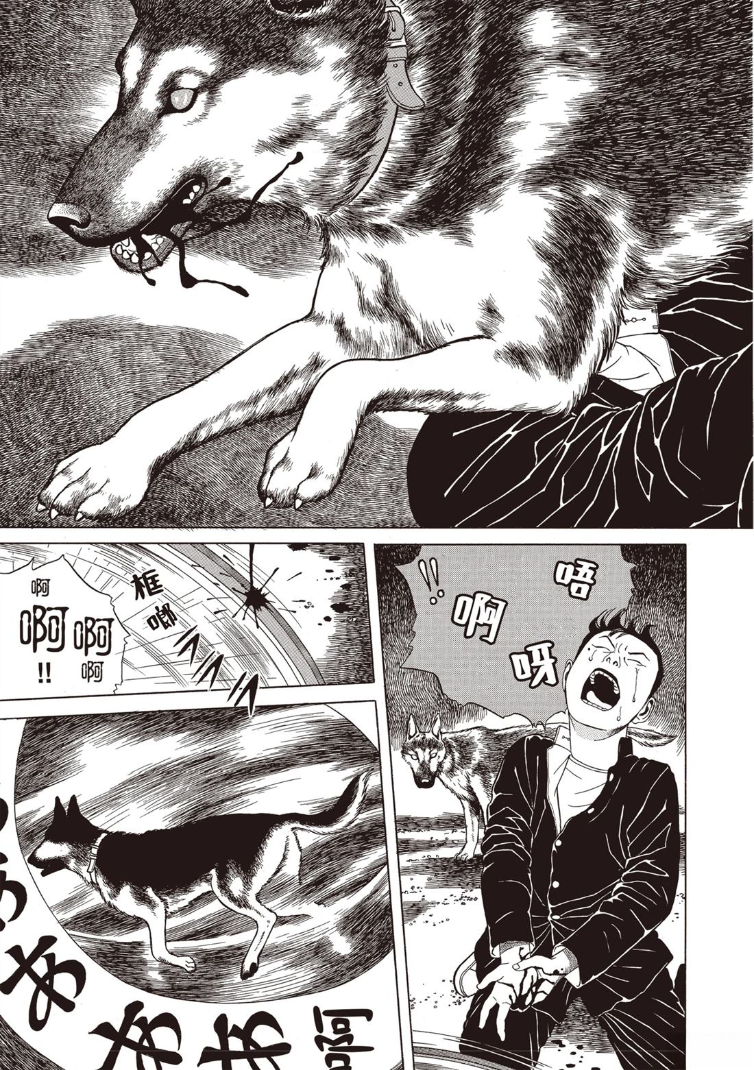 第85页